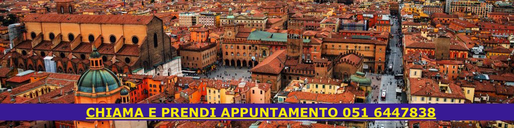 Una serie di commenti a sentenze di avvocato a Bologna Sergio Armaroli per dare una prima idea degli orientamenti di giurisprudenza, si tratta di articoli sulle successioni, sulla separazione e divorzio, e sul danno alla persona da incidente stradale a responsabilita' medica.